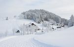 冰雪