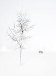 冰雪