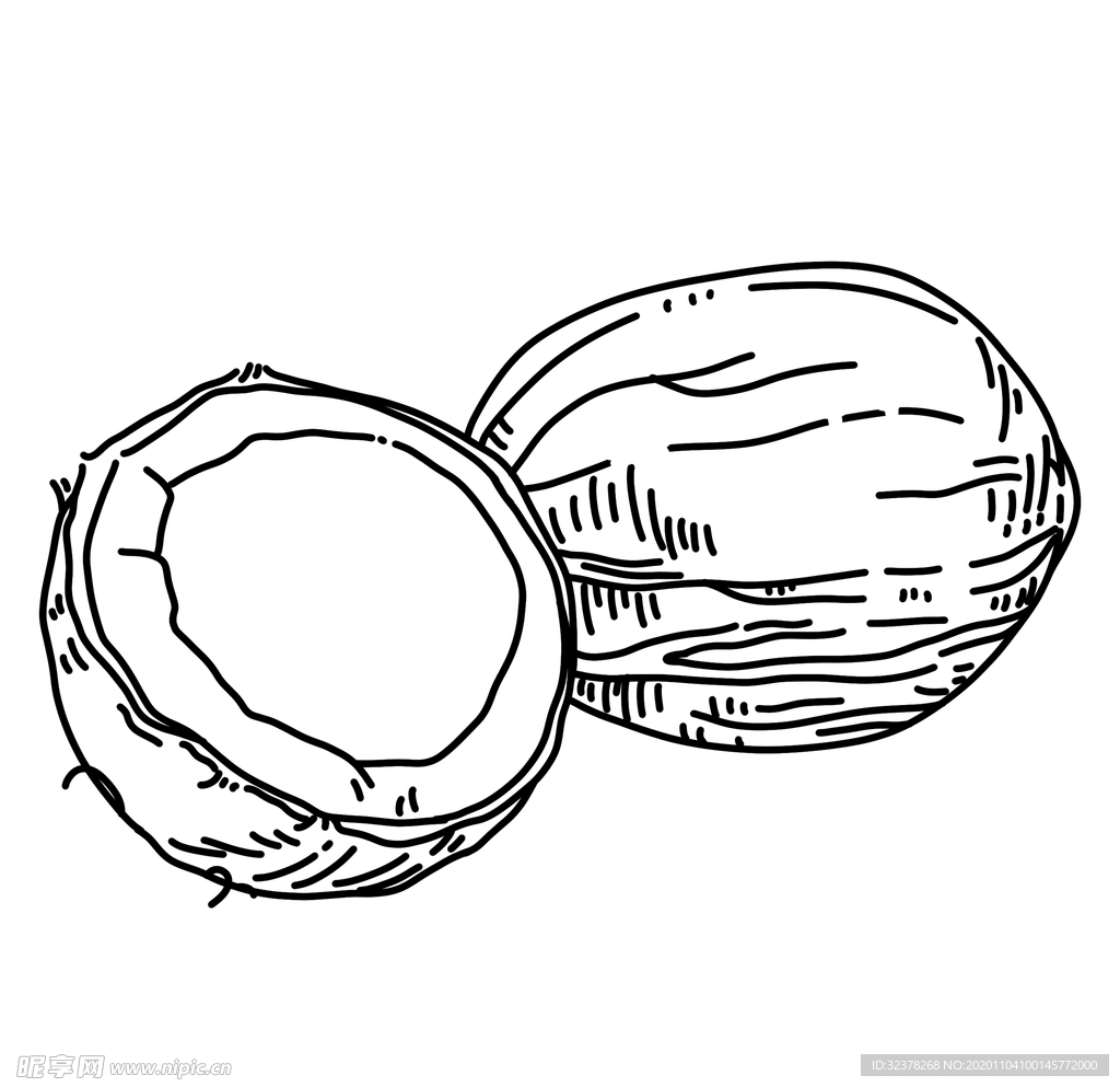 椰子手绘线描图
