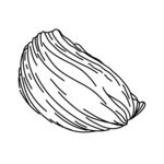 燕窝手绘线描图