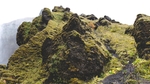 山苔藓草岩石