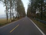 道路