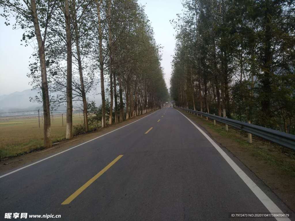 道路