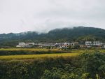 田园风光