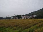 田园风光