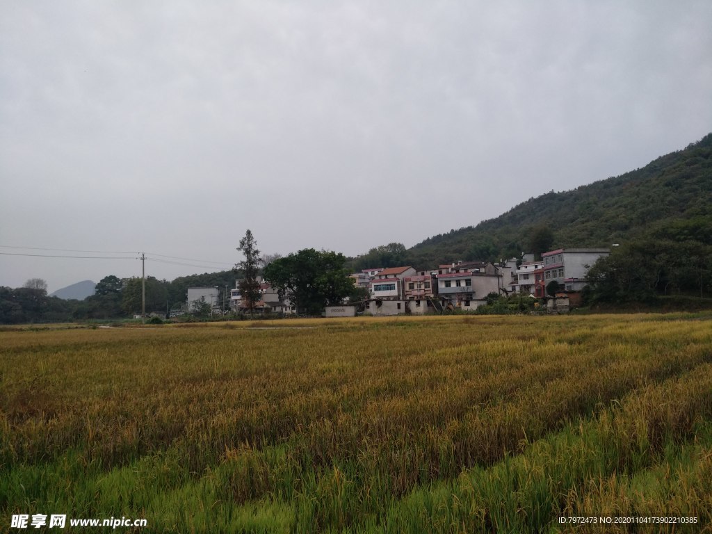 田园风光
