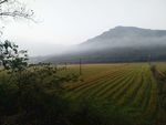 山岚