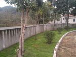 草坪