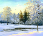冬季森林风景图片