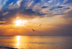 海山夕阳晚霞风景