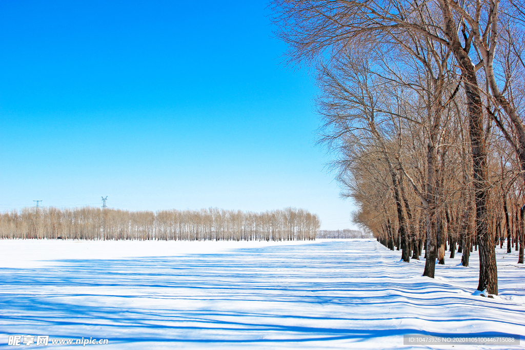 寒冷的冬日雪景图片