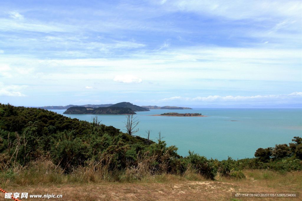 奥克兰海滨自然风景