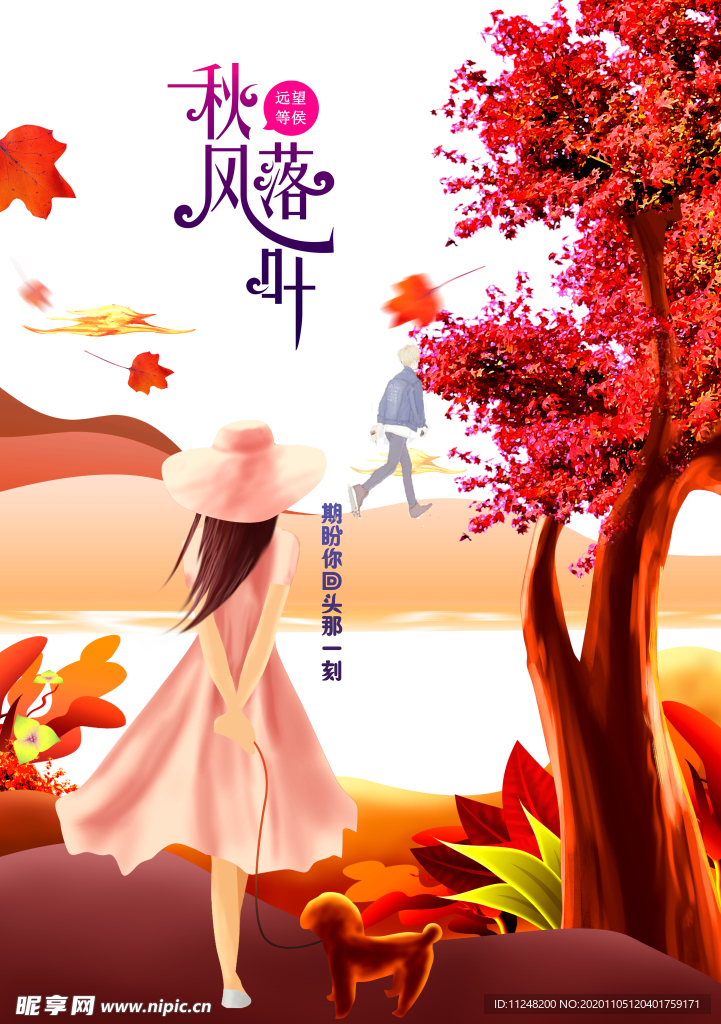 秋天的落叶
