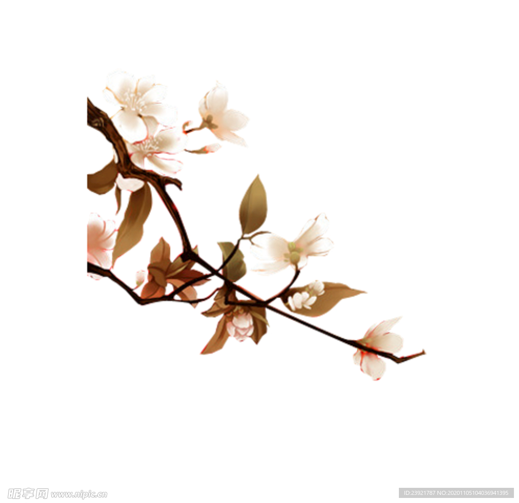 桃花
