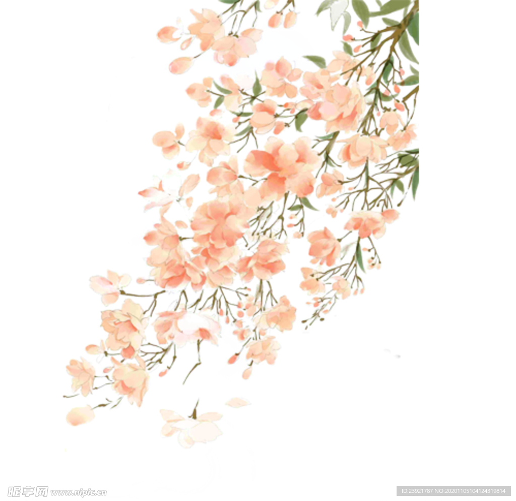 桃花