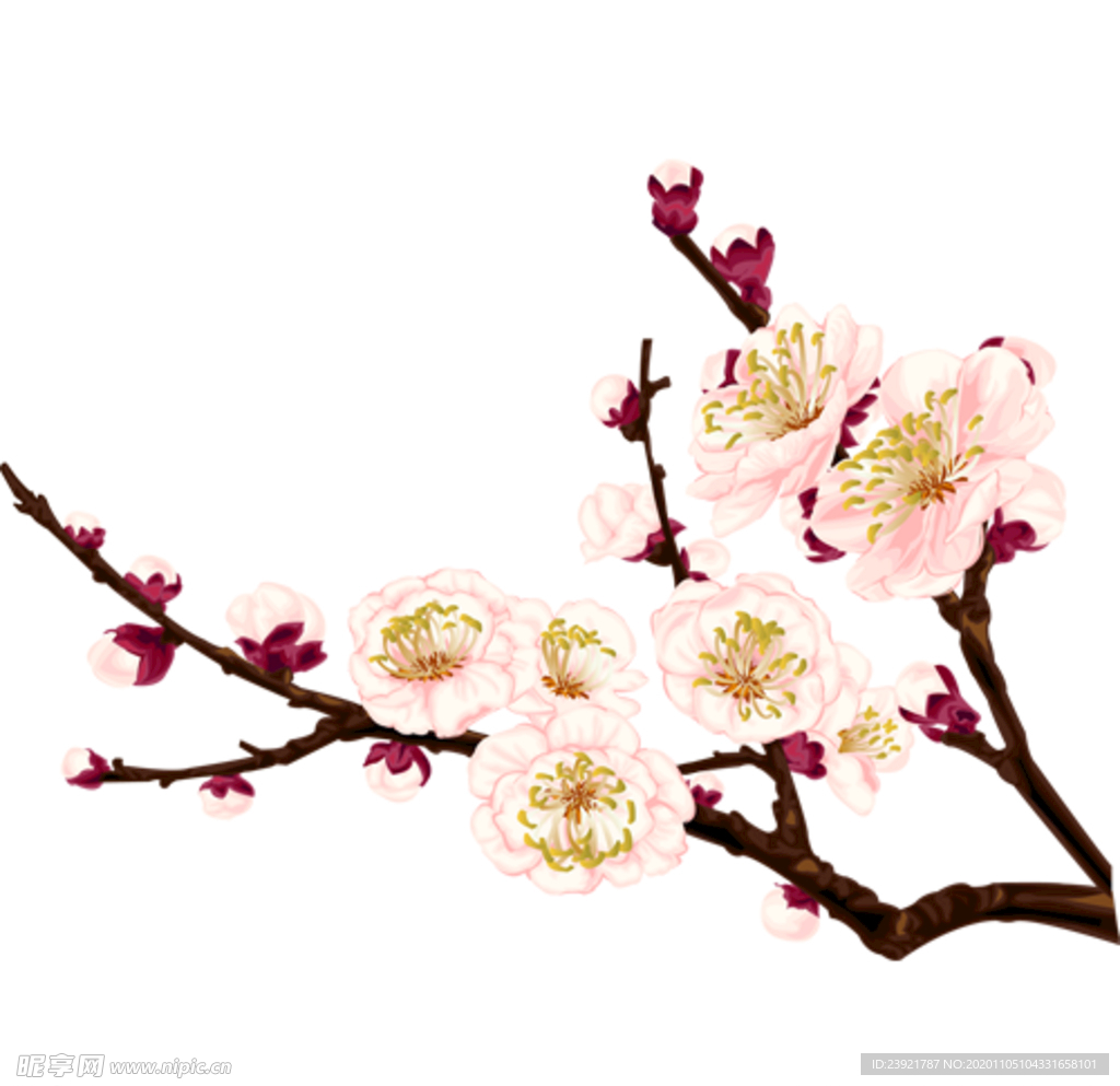 桃花