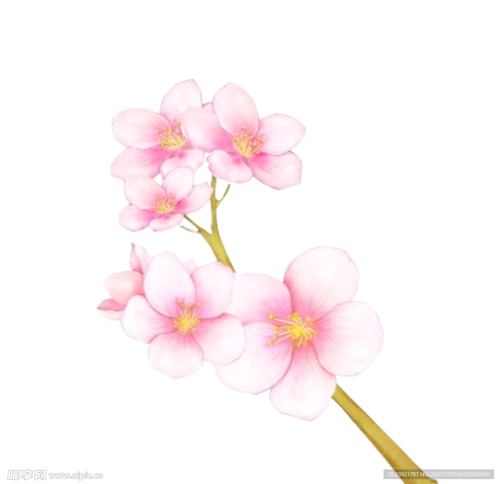 桃花