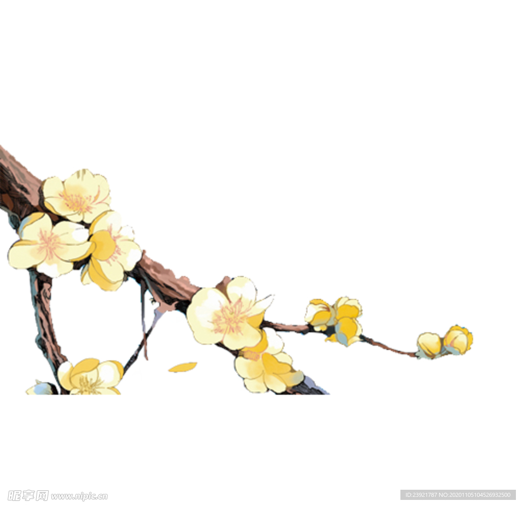 梅花