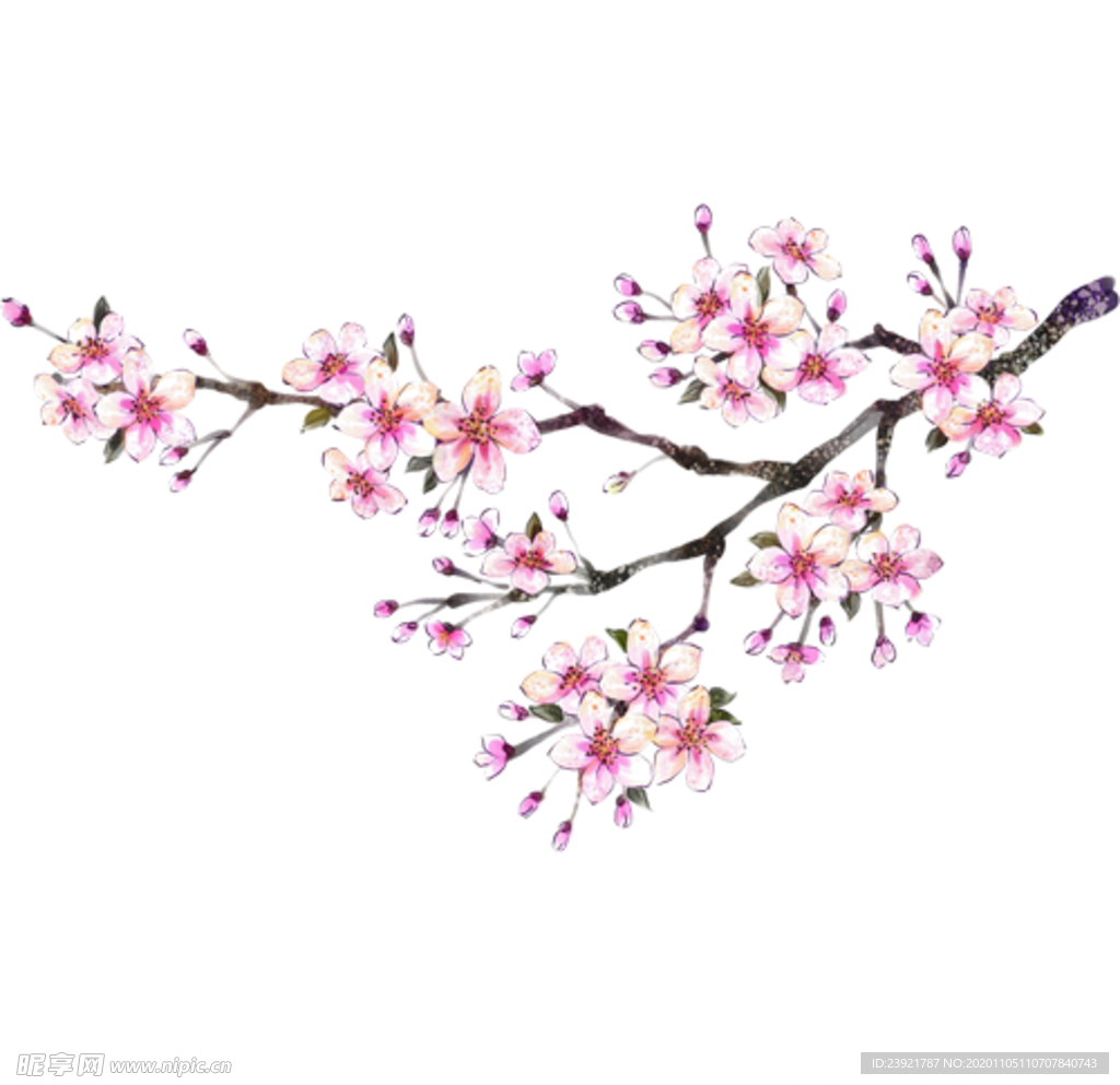 桃花