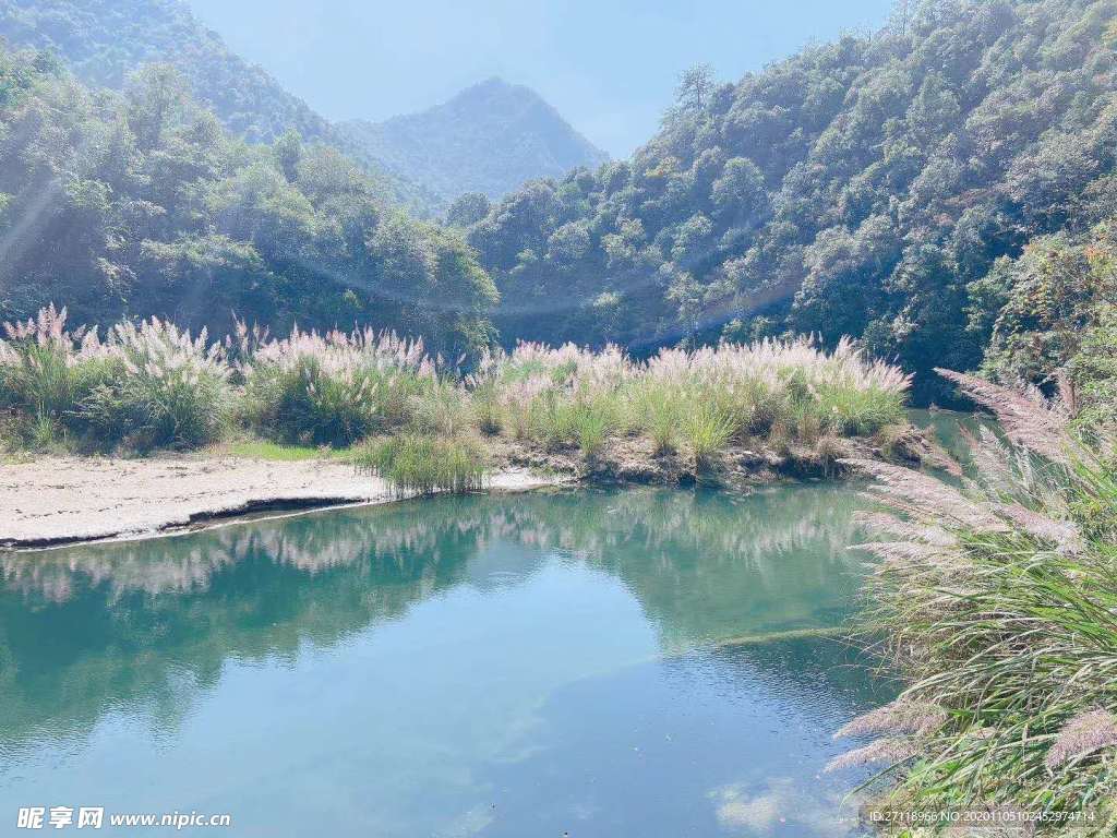 森林山水