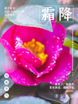 霜降