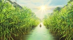 日系动漫背景