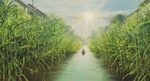 日系动漫背景