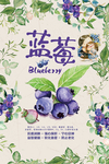 蓝莓海报