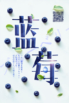 蓝莓海报