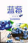 蓝莓海报