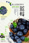 蓝莓海报