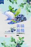 蓝莓海报