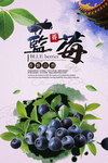 蓝莓海报