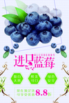 蓝莓海报