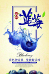 蓝莓海报