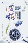 蓝莓海报