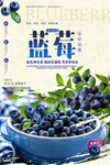 蓝莓海报