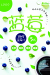 蓝莓海报