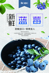 蓝莓海报