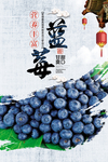 蓝莓海报