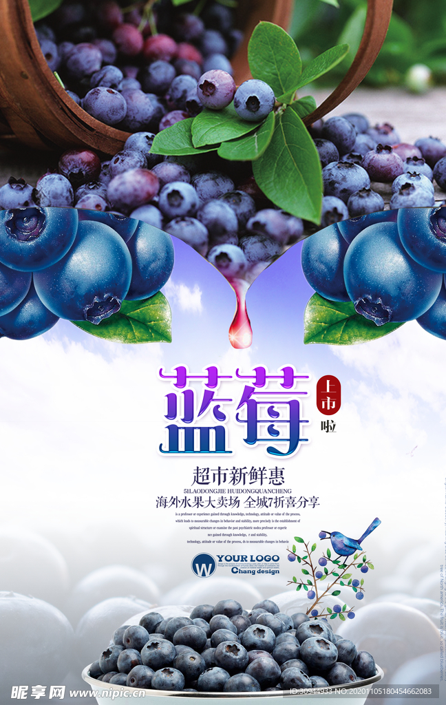 蓝莓海报