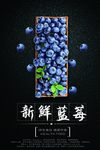 蓝莓海报