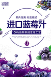 蓝莓海报