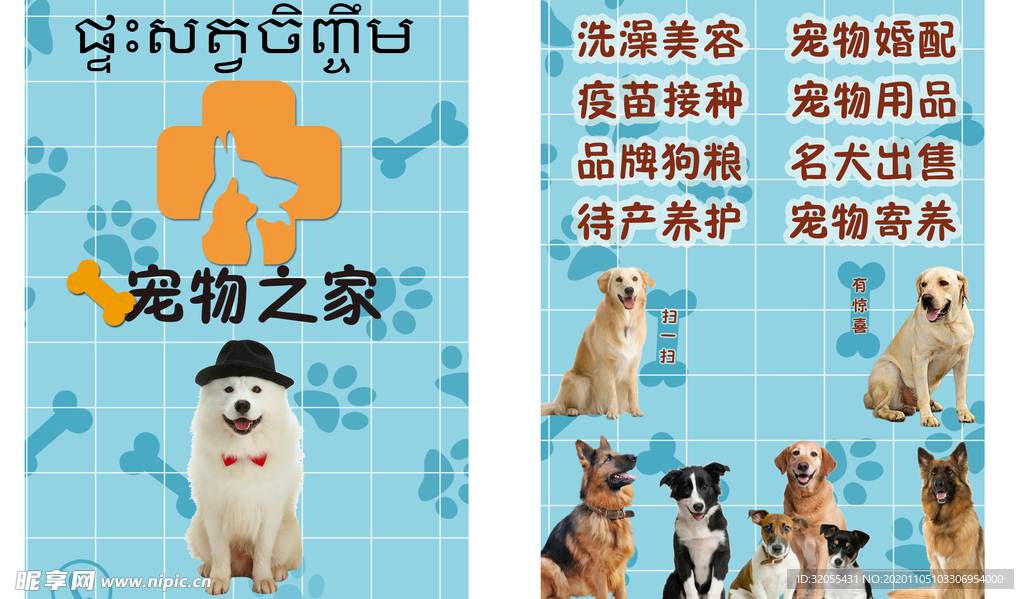 宠物海报