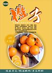橙子海报展板