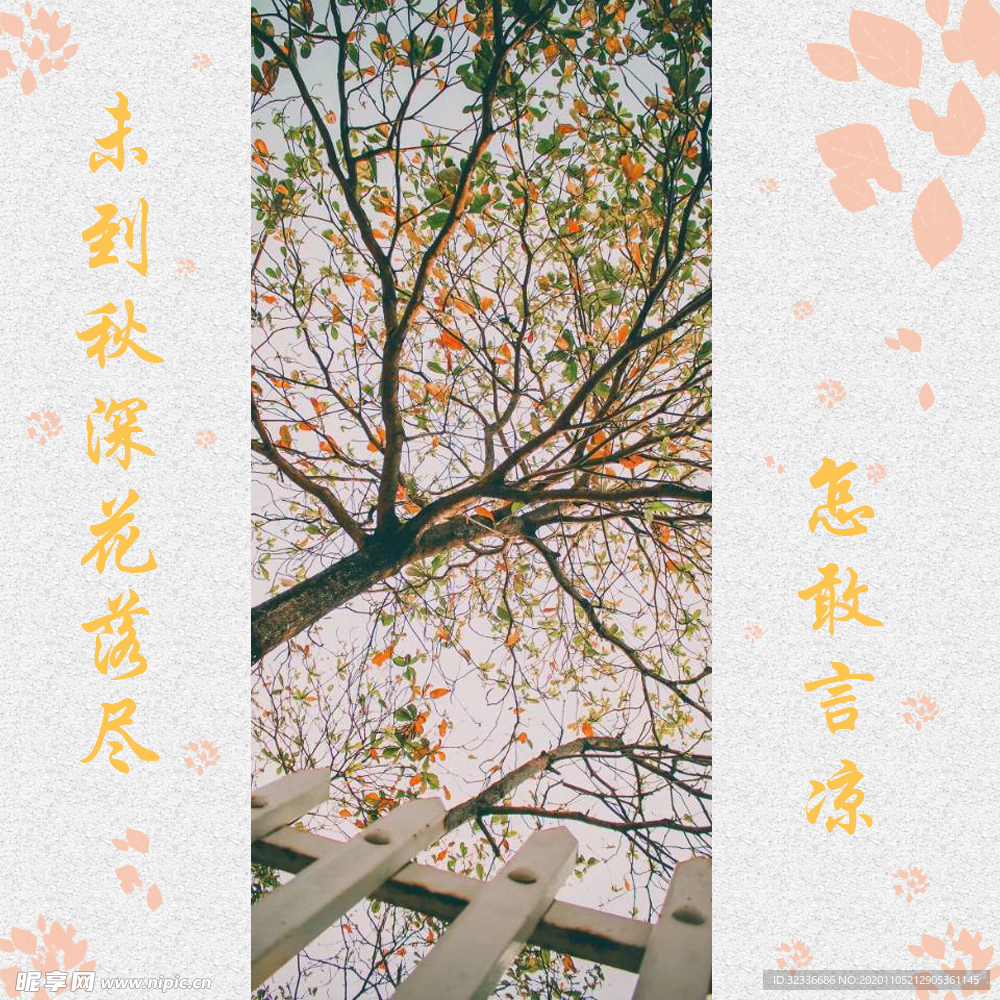 叶