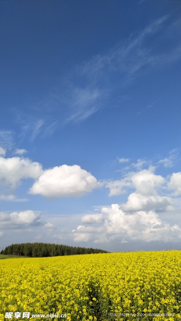 草原天空