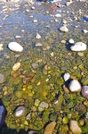 河边湖边