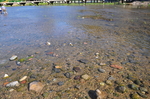 水面河水