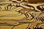 梯田